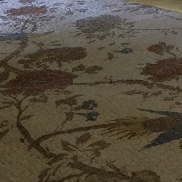 Meet your Posher, Nikki - Picture 1 of 1